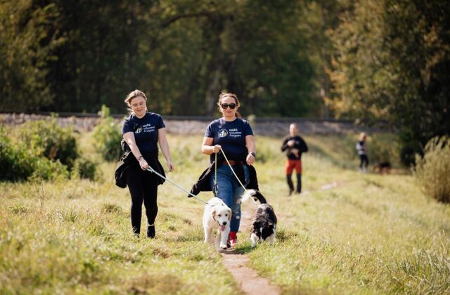Ako vám psí hrdinovia z útulku zmenia život k lepšiemu? Juraj Bača má na&hellip;