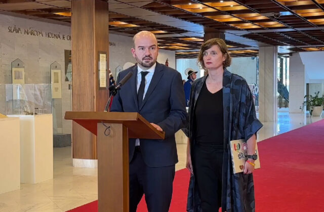 Huliak nazval Plavákovú „sukou“. Poslanec Dubéci vyzýva najvyšších predstaviteľov, aby zasiahli a zastavili chaos&hellip;