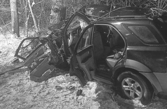 Vodič zišiel mimo vozovku a čelný náraz do stromu neprežil – FOTO