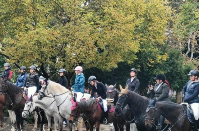 V Košiciach sa s jazdeckou sezónou rozlúčili tradičnou Hubertovou jazdou, prišlo niekoľko desiatok koní&hellip;