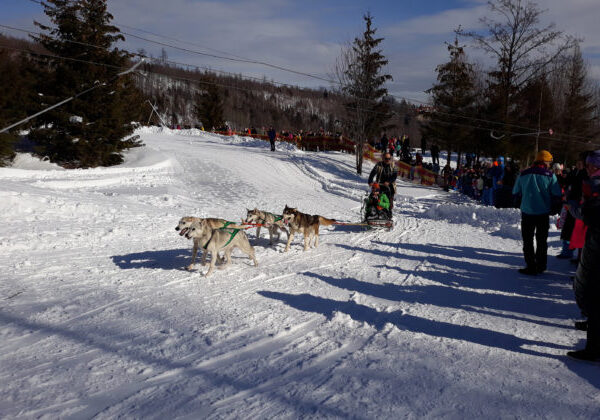 Tatranská Lomnica bude patriť Snežným psom, Skalnaté Pleso zas obrovským snehuliakom – VIDEO