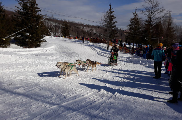 Tatranská Lomnica bude patriť Snežným psom, Skalnaté Pleso…