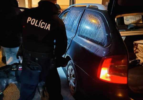 Protidrogová akcia Piknik bola úspešná, polícia zadržala deväť ľudí podozrivých z trestnej činnosti – FOTO