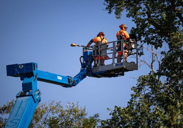 Revitalizácia vnútrobloku na sídlisku Západ v Spišskej Novej Vsi sa začala, vyrúbu viac ako dvadsať stromov