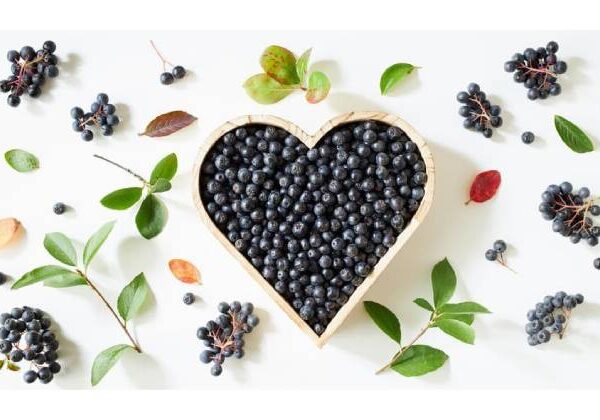 Objavte silu arónie – prírodného zázraku, ktorý vaša imunita ocení!