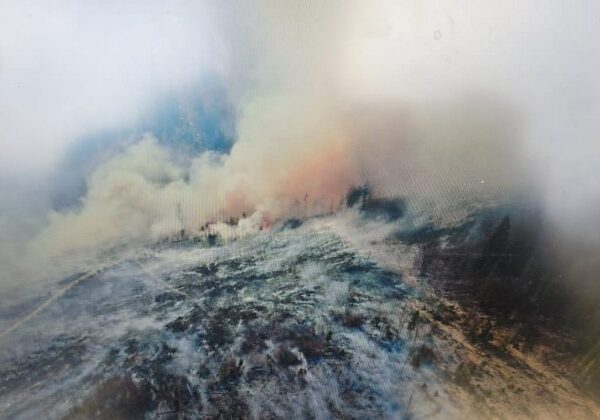Rozsiahly požiar lesa v Oravskej Jasenici hasí takmer 80 hasičov, zásah komplikuje silný vietor – FOTO