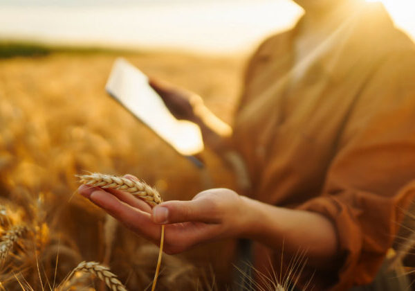 Konektivita, aká tu ešte nebola: Nová technológia 5G Standalone mení pravidlá hry