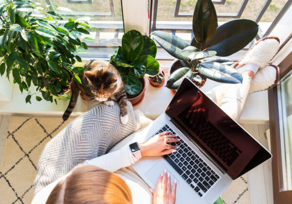 Práca z domu zostáva aj po pandémii populárna, manažéri však preferujú návrat do kancelárií