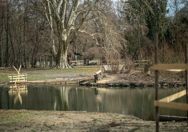 Rekonštrukcia kaštieľskeho parku v Stupave napreduje, prinavrátiť mu chcú historickú krásu – FOTO