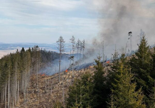 Požiar lesa v Spišskej Teplici úspešne zlikvidovali, predbežná škoda predstavuje až 60-tisíc eur