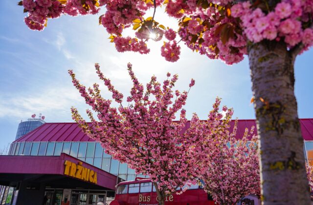 Starosta bratislavského Nového Mesta Čupka načrtol budúcnosť ikonickej&hellip;