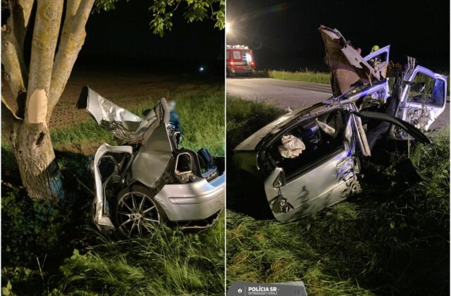 Pri náraze do stromu sa auto roztrhlo na…