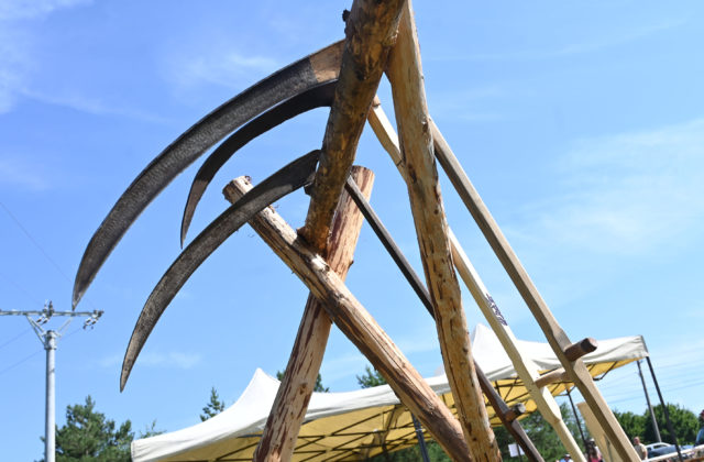 Pod hradom vo Veľkom Šariši sa na Deň&hellip;