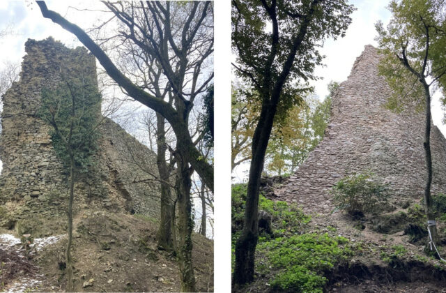 Spoločnosť Henkel Slovensko podporila dva výnimočné dobrovoľnícke…