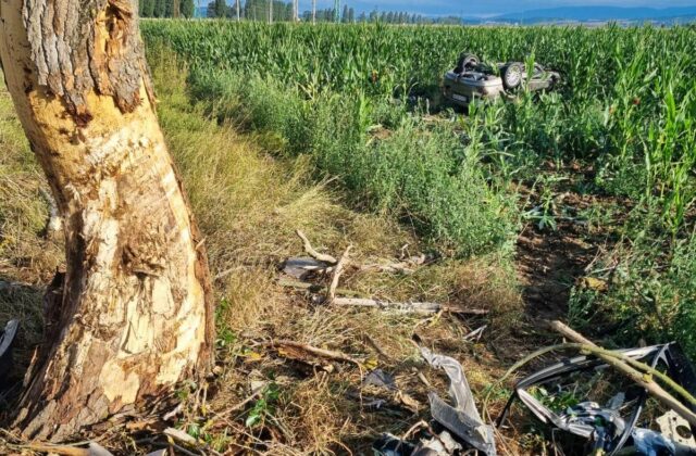 Tragická dopravná nehoda v okrese Levice, vodič neprežil&hellip;