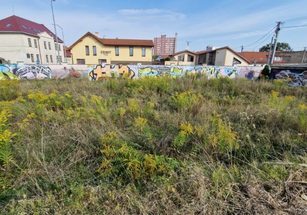 Prešov obnoví schátraný skatepark za vyše pol milióna eur, vznikne aj oddychová zóna – VIDEO, FOTO