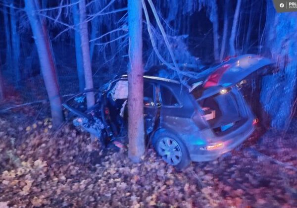 Tragická nehoda pri obci Stráňavy, 60-ročná vodička zrážku s kamiónom neprežila – FOTO