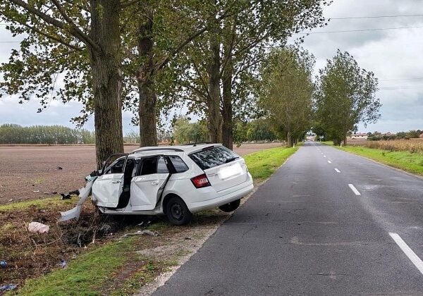 Vodič v okrese Dunajská Streda zišiel na rovnom úseku z cesty, čelný náraz do stromu neprežil – FOTO