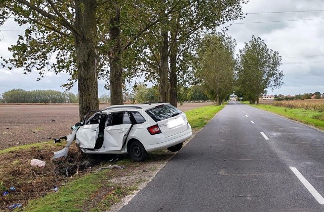 Vodič v okrese Dunajská Streda…