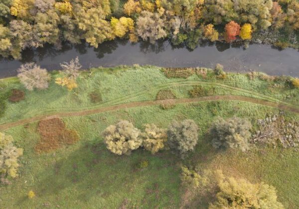 Nádej pre slovenskú prírodu: Projekt Prepojená krajina zapustil prvé korene