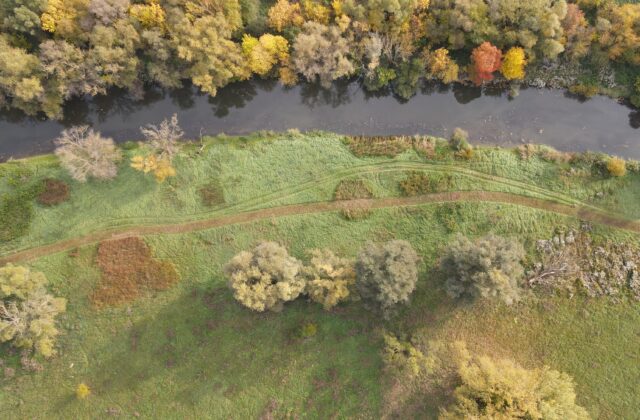 Nádej pre slovenskú prírodu: Projekt Prepojená krajina zapustil prvé korene