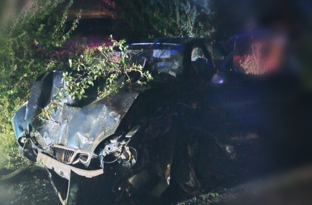 Tragickú dopravnú nehodu neprežila spolujazdkyňa a ročné dieťa, v nemocnici zomrel aj niekoľkodňový novorodenec