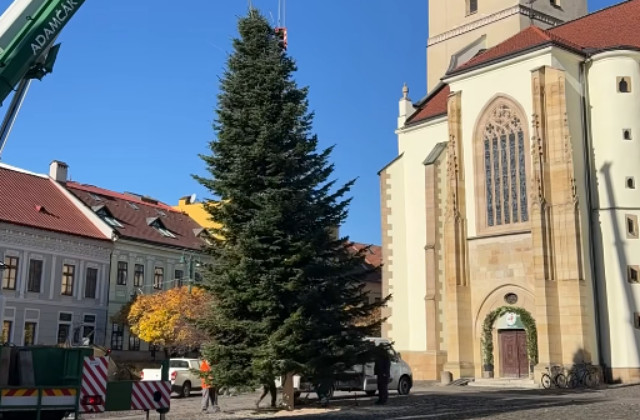 Vianočný stromček už osadili v Bratislave aj Prešove.&hellip;