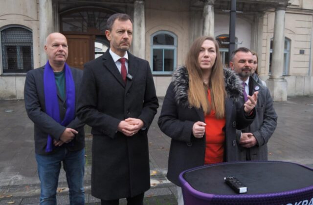 Demokrati majú novú posilu z regionálnej politiky, do strany vstúpila trnavská poslankyňa Ľubica Horváthová – VIDEO