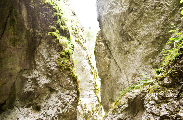 Záhadná smrť v priepasti Macocha