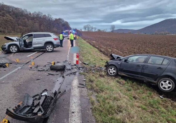 Tragická dopravná nehoda si vyžiadala život spolujazdca, vodičke vbehla do cesty lesná zver – FOTO
