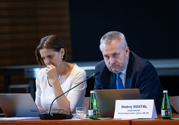 Za konanie voči Slovensku môžu všetci, ktorí hlasovali za zmenu ústavy, tvrdí SaS a prináša riešenie