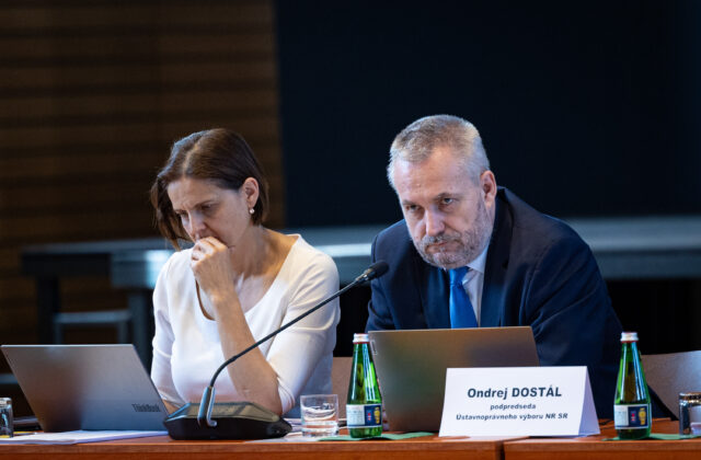 Za konanie voči Slovensku môžu všetci, ktorí hlasovali za zmenu ústavy, tvrdí SaS a prináša riešenie