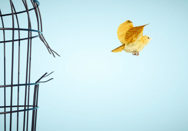 UNIQA si 17. november uctila diskusiou o význame slobody a premietaním filmu o cti a odvahe – Muž, ktorý stál v&hellip;