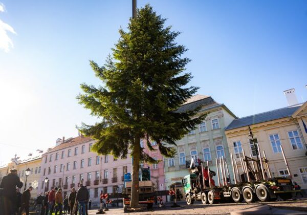 Košickú Hlavnú ulicu zdobí vianočný stromček, jedľa biela pricestovala do metropoly východu z Kysaku – VIDEO, FOTO