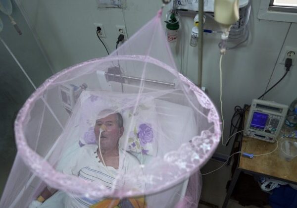 Na Kube pribudlo vyše 47 000 nových prípadov chikungunye za týždeň. Štát priznáva, že epidémia je mimo kontroly