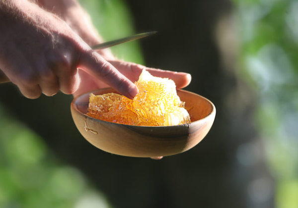 KRAJ už šiesty rok podporuje slovenských včelárov