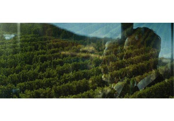 Dôvera v partnerstvo, ktorá pretrváva naprieč generáciami