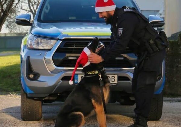 Policajti boli počas Vianoc vo vysokom nasadení. Preverili viac ako 5 500 udalostí, riešili aj bitky či domáce násilie