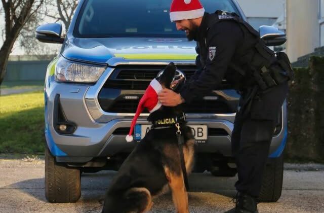 Policajti boli počas Vianoc vo vysokom nasadení. Preverili viac ako 5 500 udalostí, riešili aj bitky či domáce násilie
