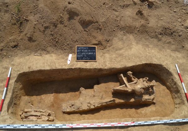 Vykrádač archeologického dedičstva vlastnil raritnú mincu zo severného Talianska, poputuje do múzea