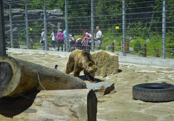 Práce je v zoologickej záhrade v Spišskej Novej Vsi veľa aj počas zimy, ošetrovatelia si nevydýchnu