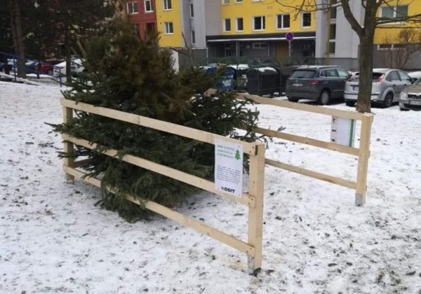 Košice rozbehli zber vianočných stromčekov, občania ich môžu odkladať ku kontajnerom alebo do ohrádok