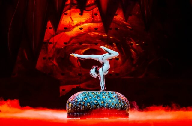 Zaslúži si viac než len kvety. Cirque&hellip;