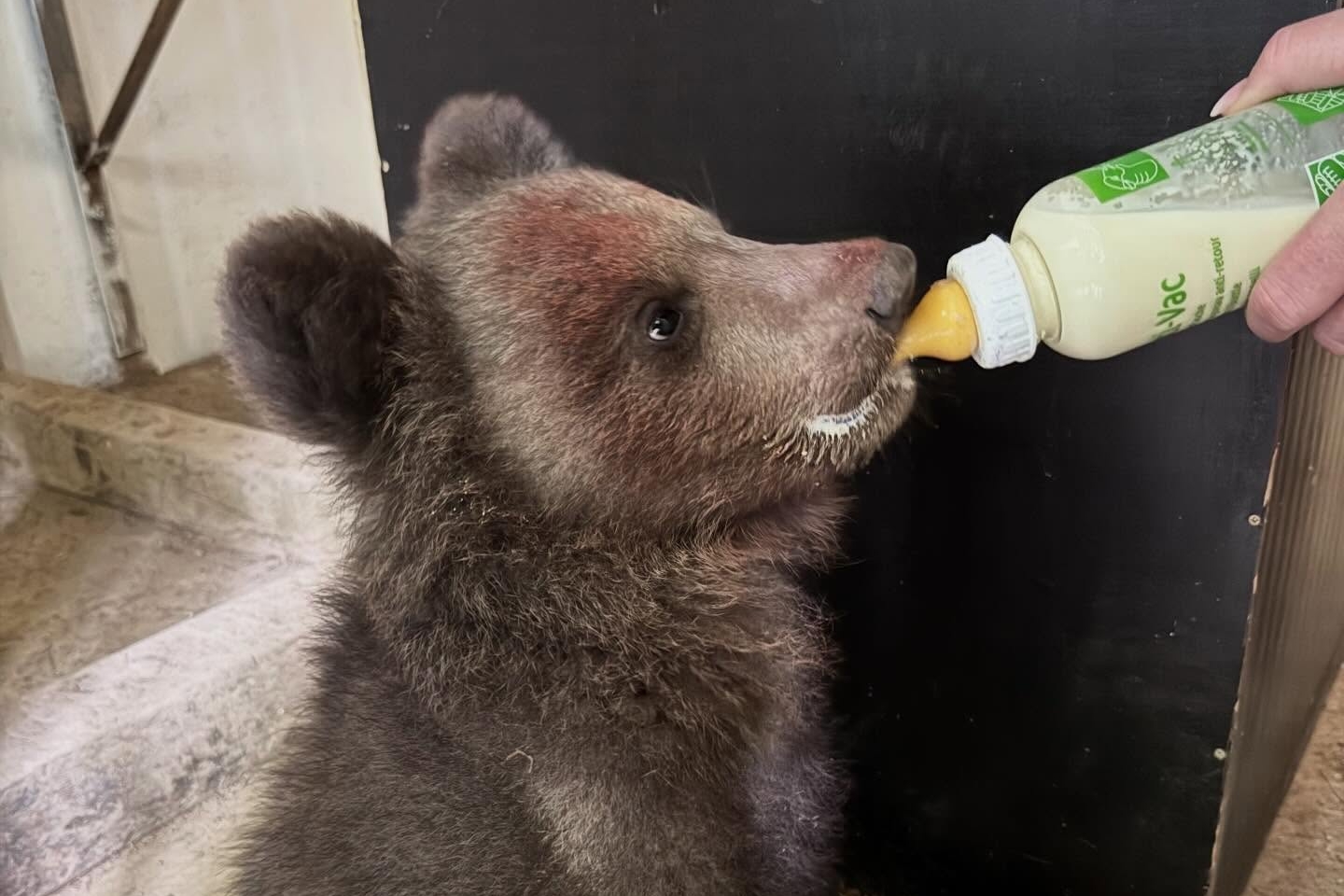 ZOO v Košiciach otvorila svoju jubilejnú 40. sezónu,&hellip;