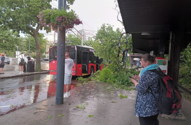 Búrka v Bratislave napáchala rozsiahle škody, na Hlavnej stanici spadol strom na prístrešok autobusovej zastávky – FOTO