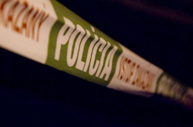Tragédia pri Jablonici. Na 35-ročného muža spadol pri ťažbe dreva strom
