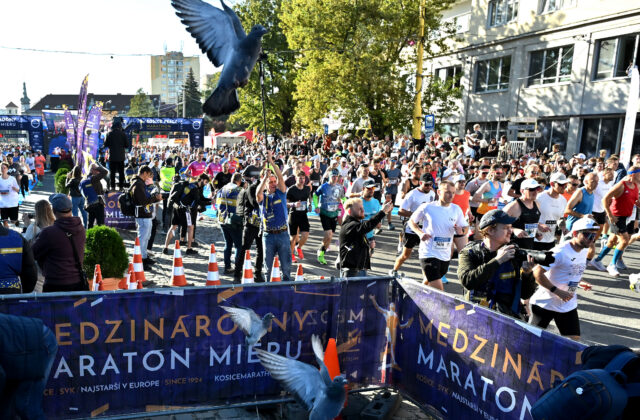 Top foto dňa (4. október 2026): Medzinárodný maratón mieru, požehnanie zvierat a hinduistický festival